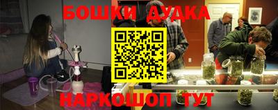дмт Аргун