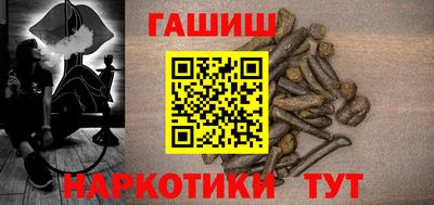 дмт Аргун